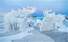 Frost Magical Ice of Siam Pattaya(Entry Ticket Himmaphan+ Ice Dome + Snow Dome + Ice Carved Glass + Overcoat) Minimum: 9 PAX 